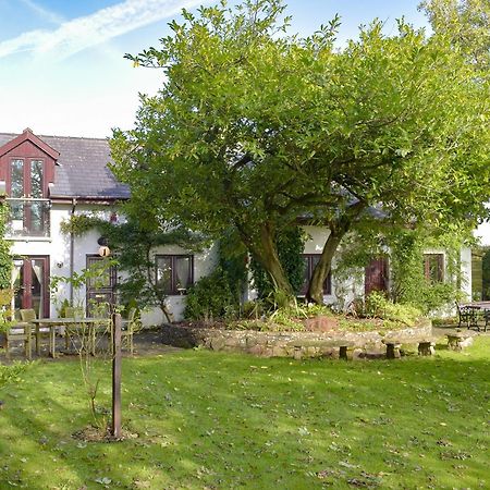 Alices Cottage Stepaside  Exterior photo